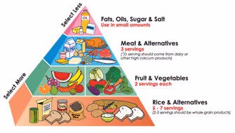food pyramid for preventing tooth decay